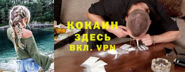 молекула духа Белоозёрский