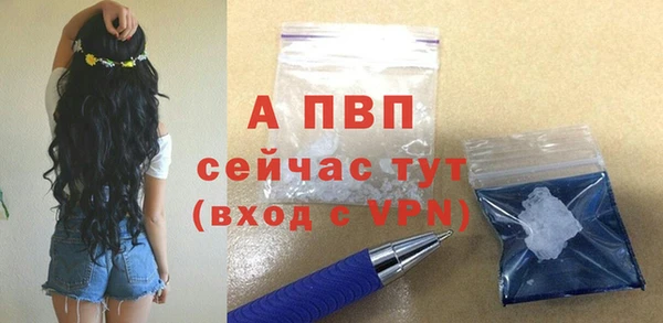 амф Богданович