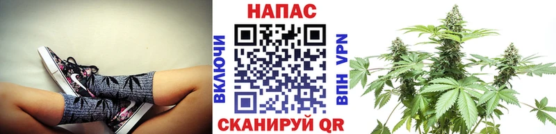 Бошки марихуана VHQ Опочка
